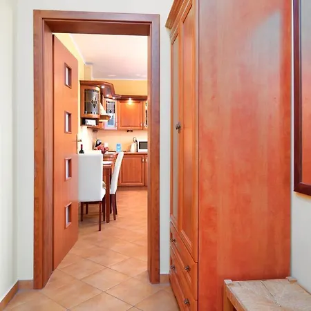 Ms Pro Comfort Class