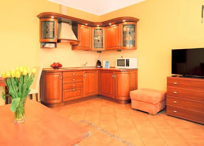 Ms Pro Comfort Class كولوبرزيغ