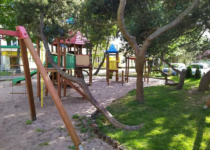 Ms Pro Comfort Class *